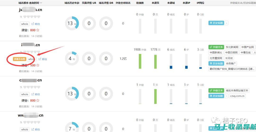 桔子SEO网站查询指南：从入门到精通的全方位教程